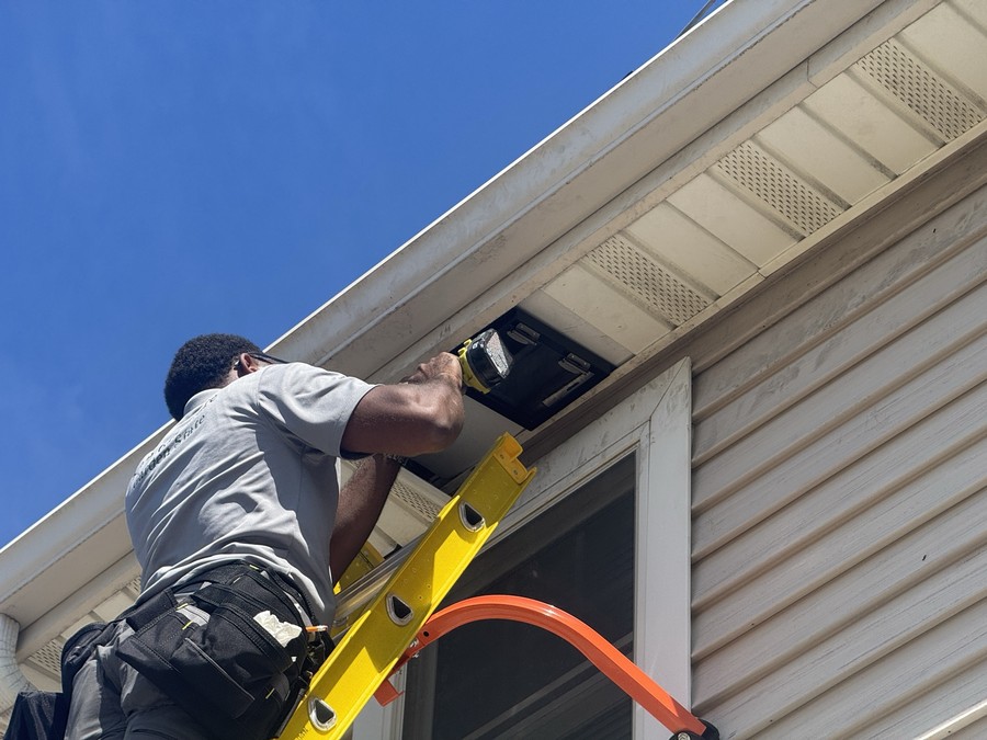 Installing the one-way door. They get out on their own and cannot get back in.